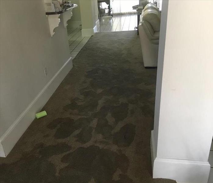 Carpeted hallway with water damage