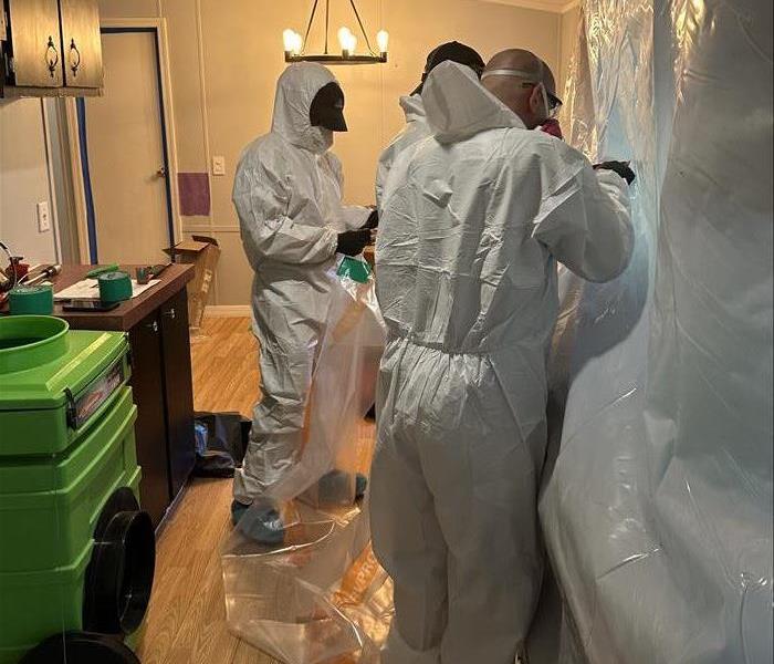 SERVPRO team in PPE performing mold remediation